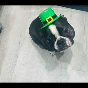 Meet your Posher, Raechel